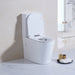 Livis Rimless Back to Wall Toilet Suite - Acqua Bathrooms